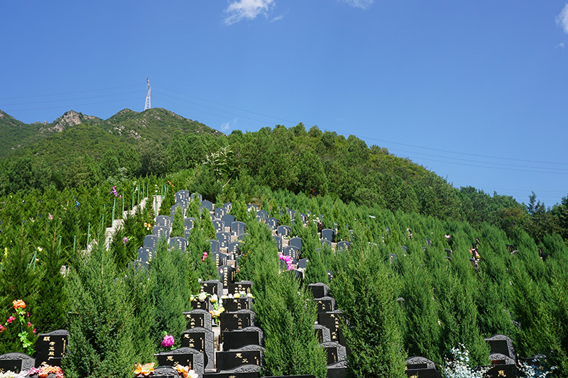 甲流对选墓影响大吗？如何预约陵园选墓？